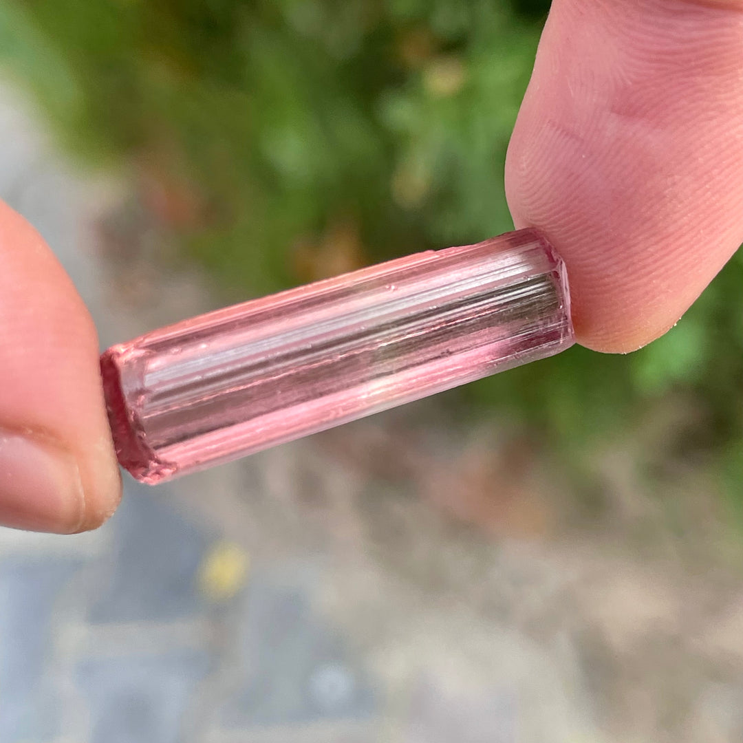 Facet Rough Pink Tourmaline – Loupe Clean Natural Gemstone Material from Afghanistan