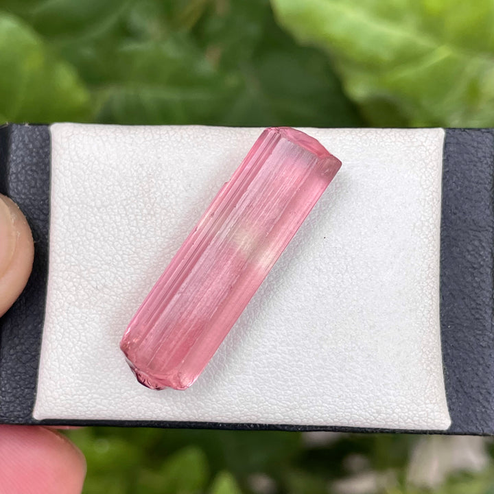 Facet Rough Pink Tourmaline – Loupe Clean Natural Gemstone Material from Afghanistan