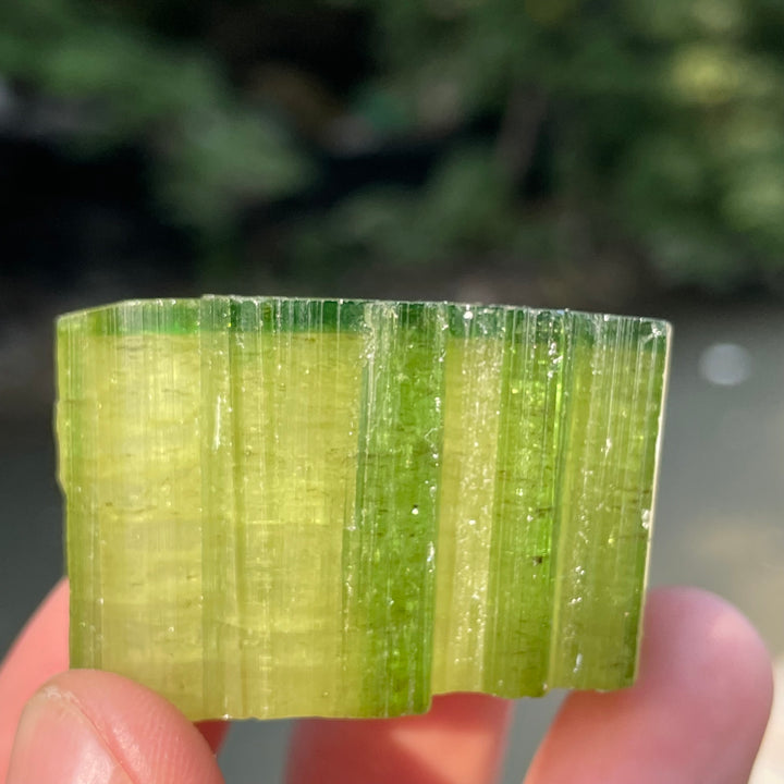 Natural Skardu Tourmaline Cluster Specimen – Bicolor Lime Green & Yellow Gem Crystals