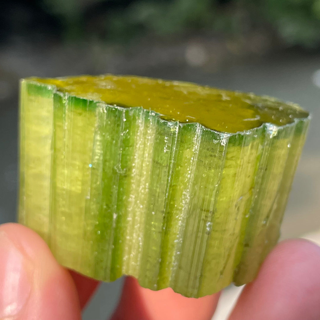Natural Skardu Tourmaline Cluster Specimen – Bicolor Lime Green & Yellow Gem Crystals