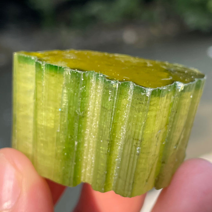 Natural Skardu Tourmaline Cluster Specimen – Bicolor Lime Green & Yellow Gem Crystals