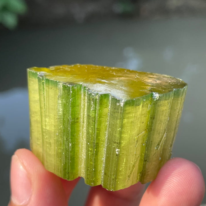 Natural Skardu Tourmaline Cluster Specimen – Bicolor Lime Green & Yellow Gem Crystals