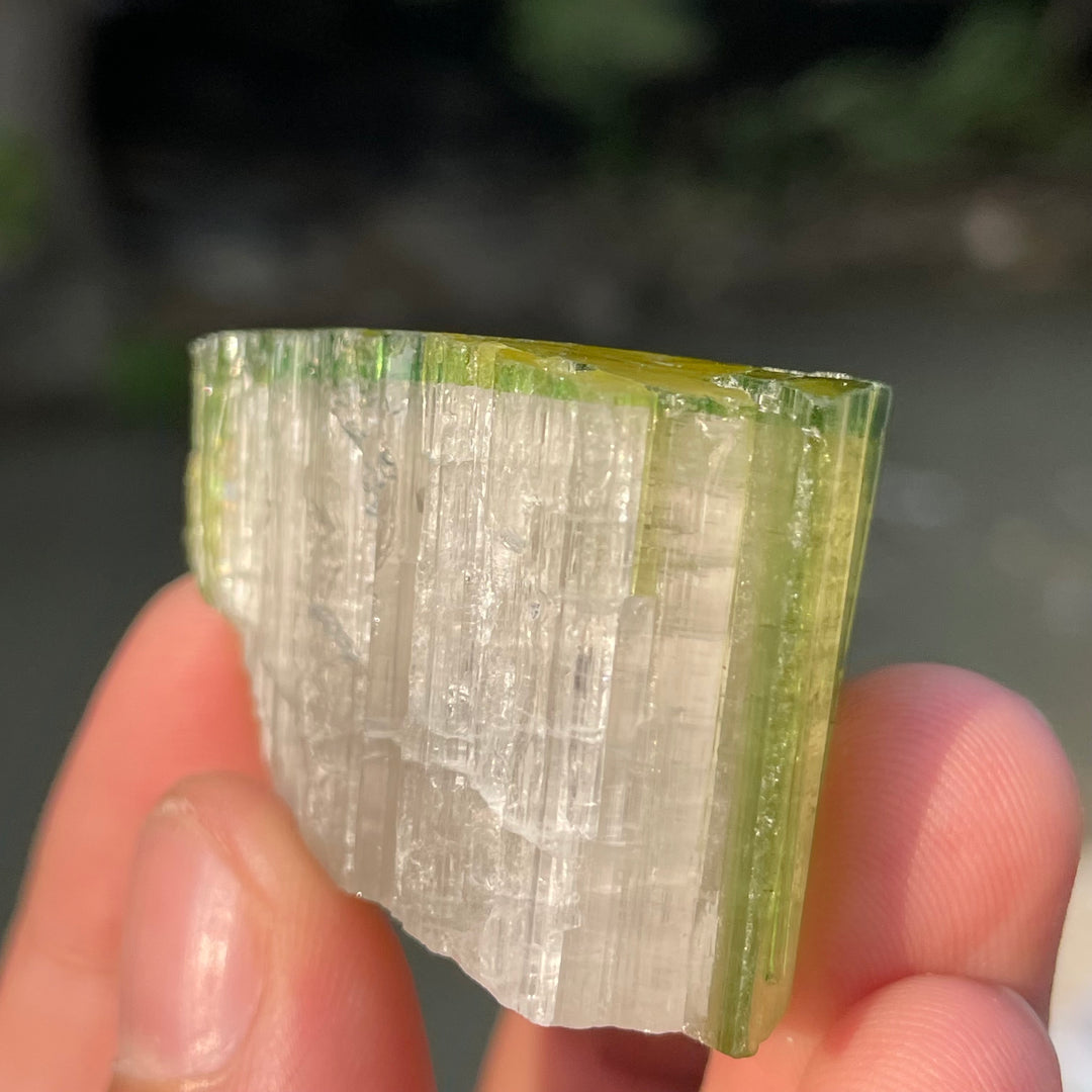 Natural Skardu Tourmaline Cluster Specimen – Bicolor Lime Green & Yellow Gem Crystals