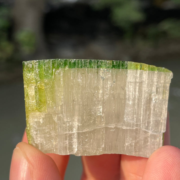 Natural Skardu Tourmaline Cluster Specimen – Bicolor Lime Green & Yellow Gem Crystals