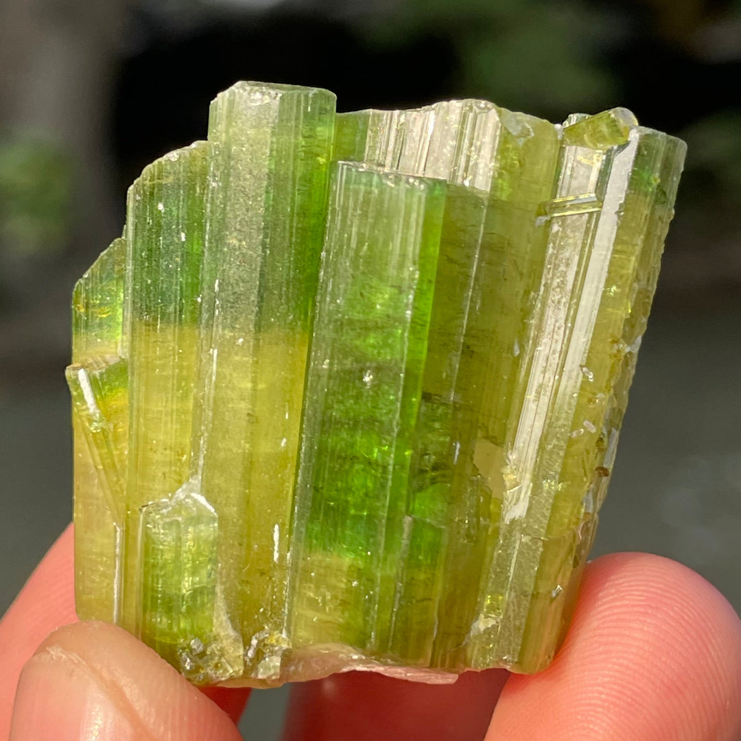 Natural Skardu Tourmaline Cluster Specimen – Bicolor Lime Green & Yellow Gem Crystals
