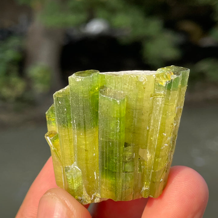Natural Skardu Tourmaline Cluster Specimen – Bicolor Lime Green & Yellow Gem Crystals
