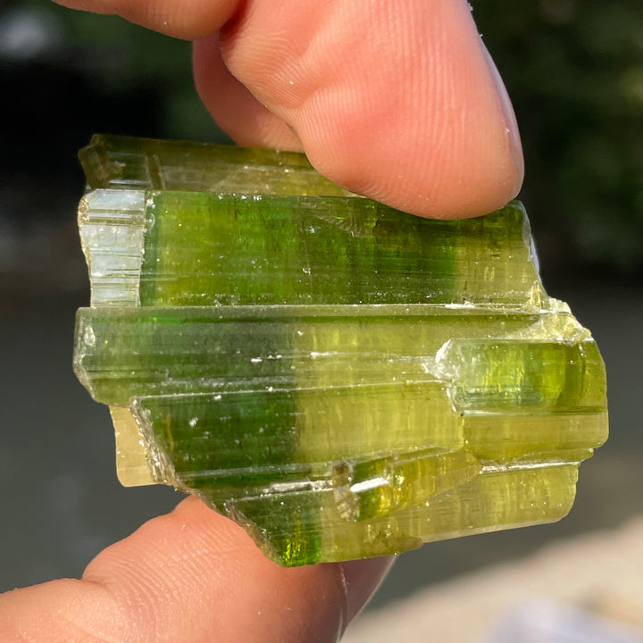 Natural Skardu Tourmaline Cluster Specimen – Bicolor Lime Green & Yellow Gem Crystals