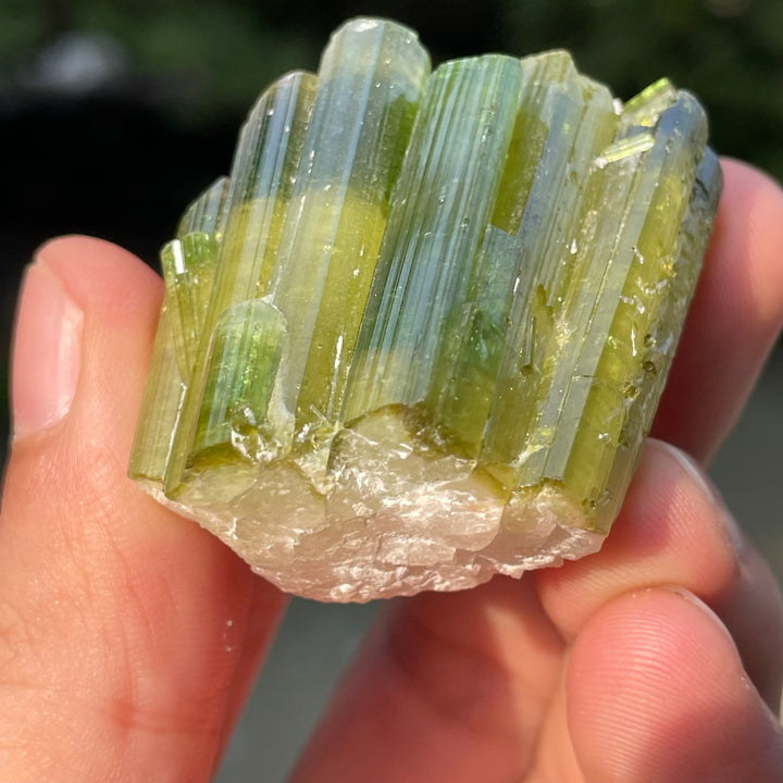 Natural Skardu Tourmaline Cluster Specimen – Bicolor Lime Green & Yellow Gem Crystals