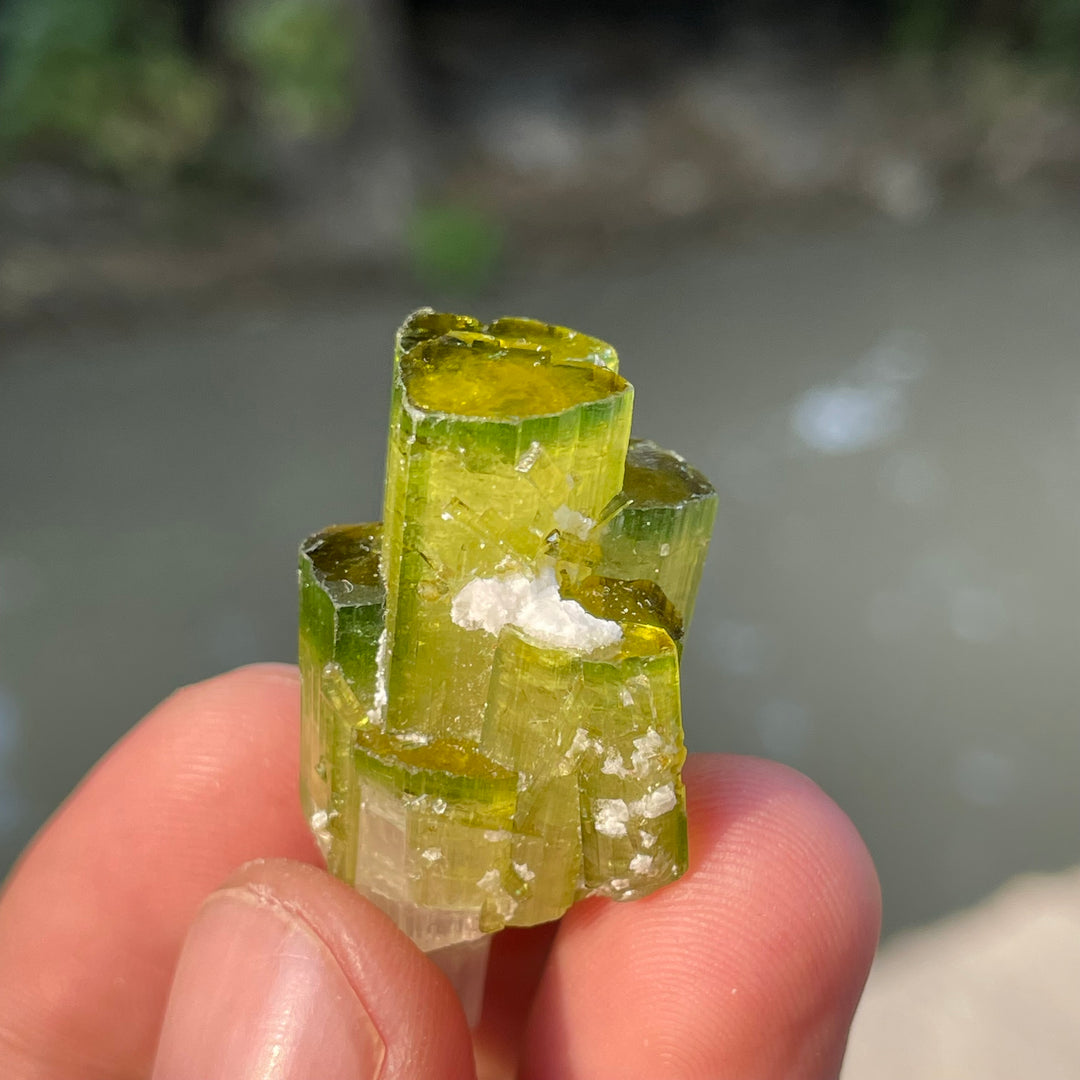 Natural Skardu Tourmaline Cluster Specimen – Bicolor Lime Green & Yellow Gem Crystals
