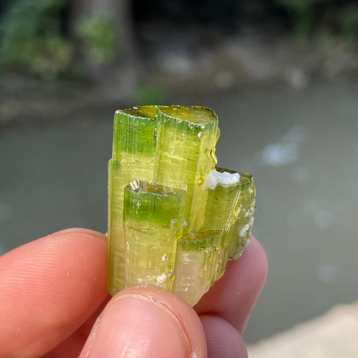 Natural Skardu Tourmaline Cluster Specimen – Bicolor Lime Green & Yellow Gem Crystals