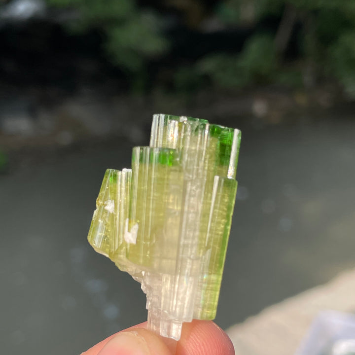 Natural Skardu Tourmaline Cluster Specimen – Bicolor Lime Green & Yellow Gem Crystals