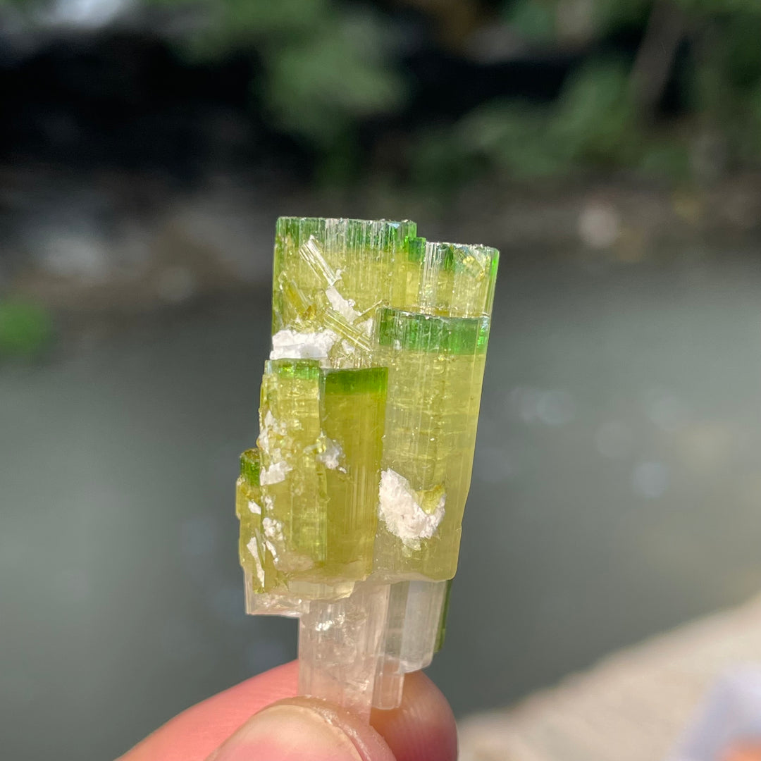 Natural Skardu Tourmaline Cluster Specimen – Bicolor Lime Green & Yellow Gem Crystals
