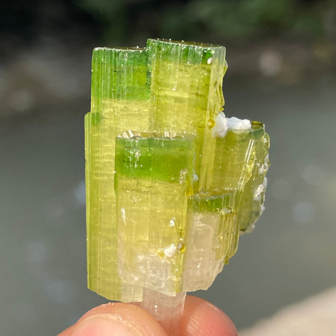 Natural Skardu Tourmaline Cluster Specimen – Bicolor Lime Green & Yellow Gem Crystals