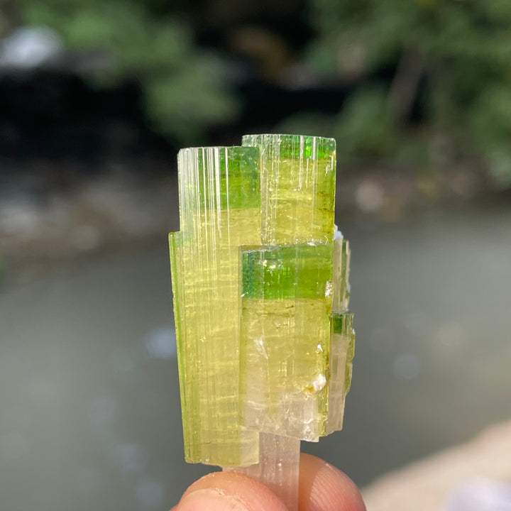 Natural Skardu Tourmaline Cluster Specimen – Bicolor Lime Green & Yellow Gem Crystals