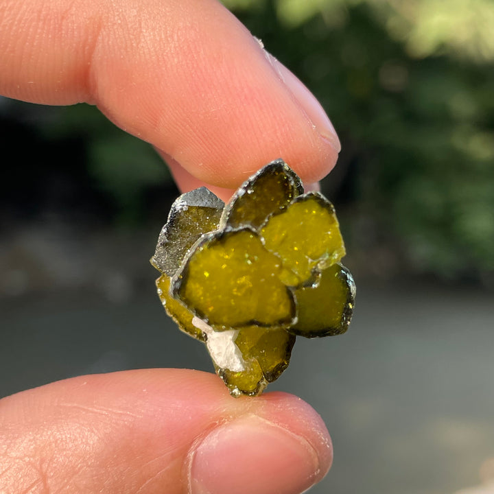 Natural Skardu Tourmaline Cluster Specimen – Bicolor Lime Green & Yellow Gem Crystals