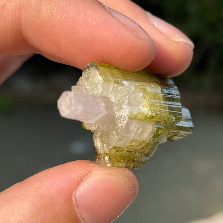 Natural Skardu Tourmaline Cluster Specimen – Bicolor Lime Green & Yellow Gem Crystals