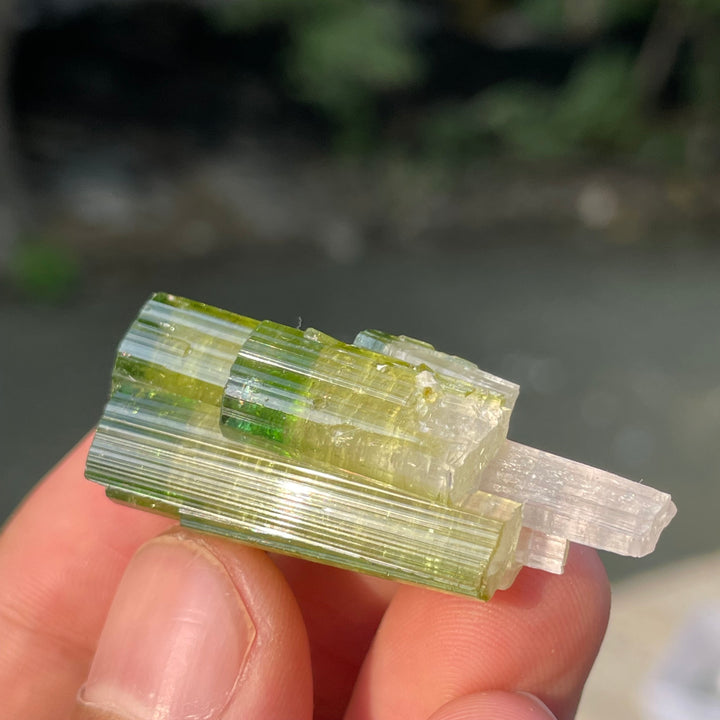 Natural Skardu Tourmaline Cluster Specimen – Bicolor Lime Green & Yellow Gem Crystals