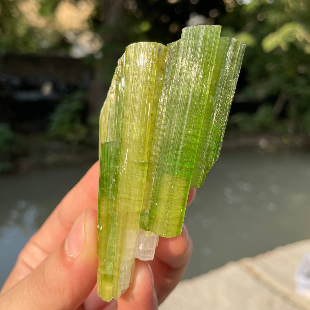Natural Skardu Tourmaline Cluster Specimen – Bicolor Lime Green & Yellow Gem Crystals