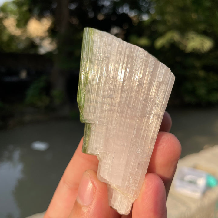 Natural Skardu Tourmaline Cluster Specimen – Bicolor Lime Green & Yellow Gem Crystals