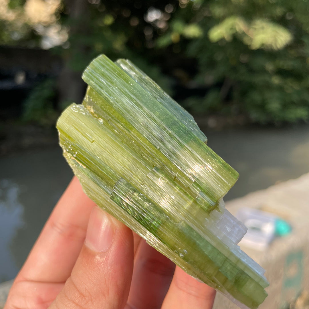 Natural Skardu Tourmaline Cluster Specimen – Bicolor Lime Green & Yellow Gem Crystals