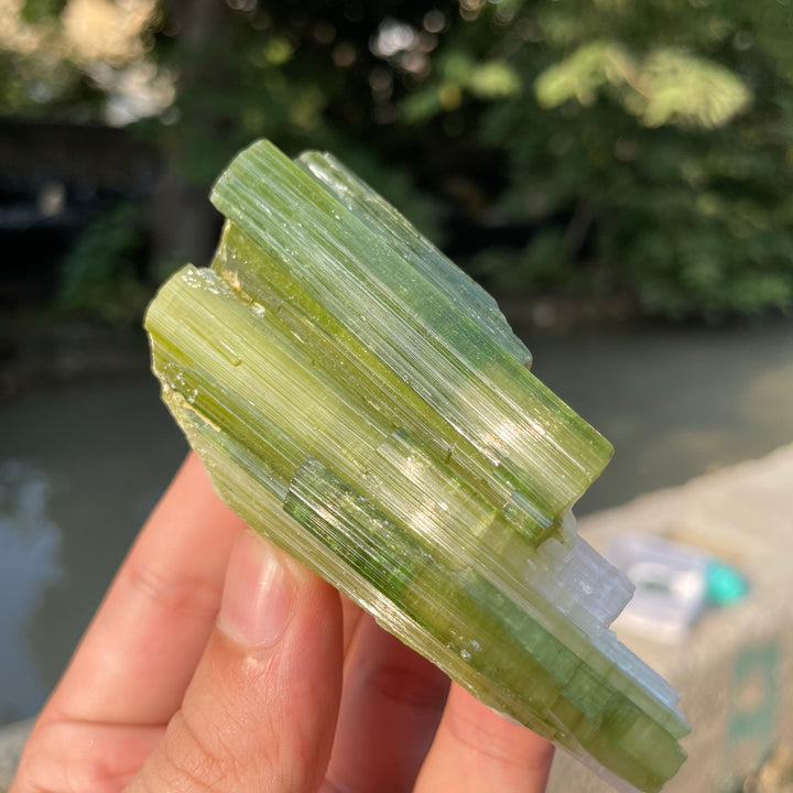 Natural Skardu Tourmaline Cluster Specimen – Bicolor Lime Green & Yellow Gem Crystals