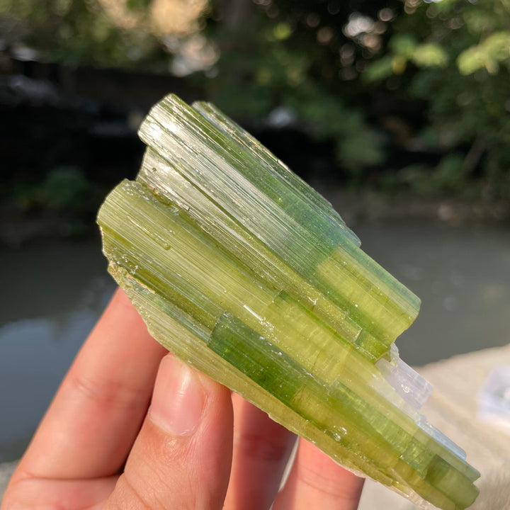 Natural Skardu Tourmaline Cluster Specimen – Bicolor Lime Green & Yellow Gem Crystals