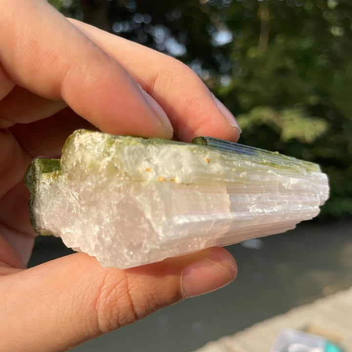 Natural Skardu Tourmaline Cluster Specimen – Bicolor Lime Green & Yellow Gem Crystals