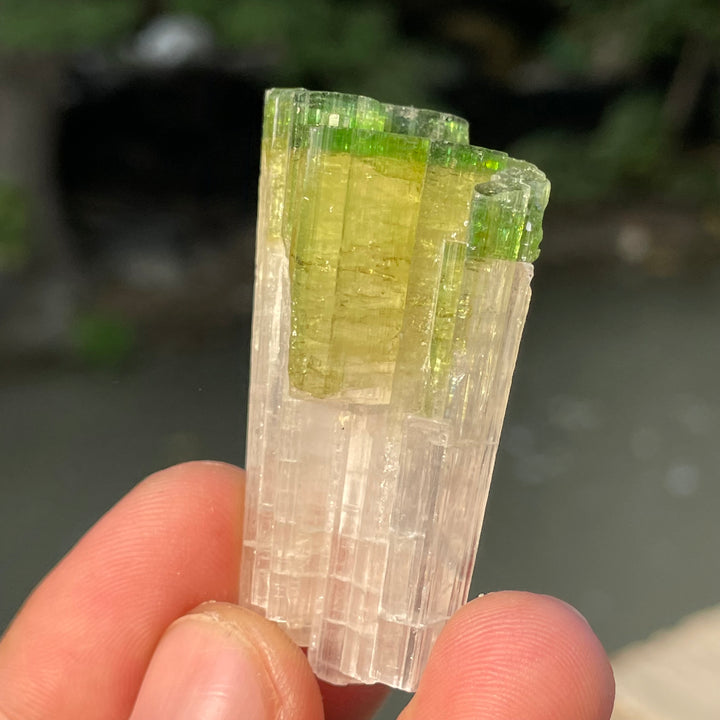 Natural Skardu Tourmaline Cluster Specimen – Bicolor Lime Green & Yellow Gem Crystals