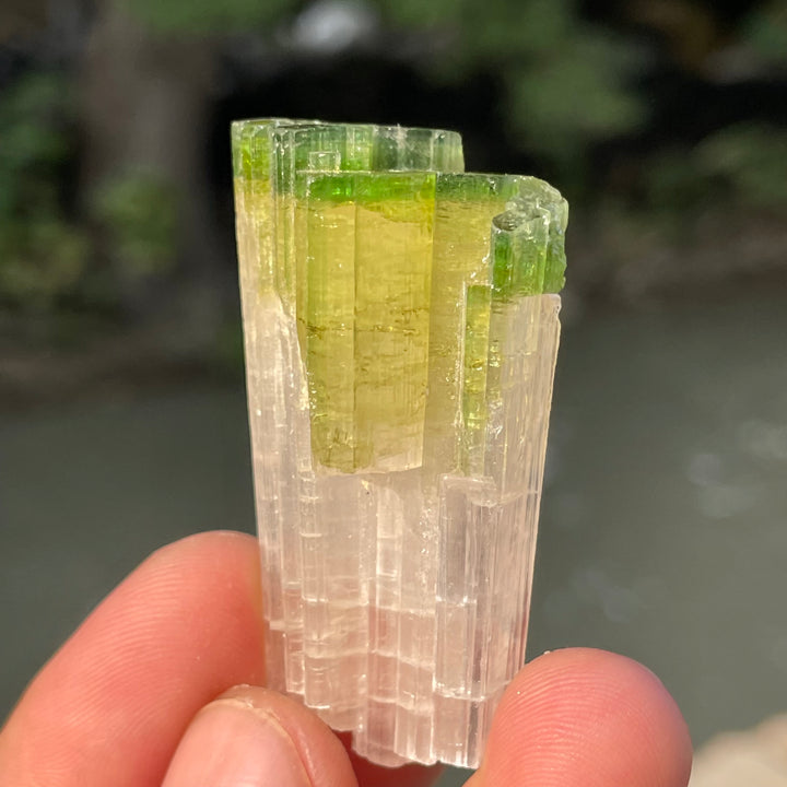 Natural Skardu Tourmaline Cluster Specimen – Bicolor Lime Green & Yellow Gem Crystals