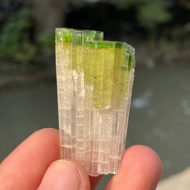 Natural Skardu Tourmaline Cluster Specimen – Bicolor Lime Green & Yellow Gem Crystals