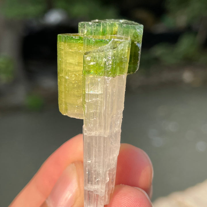 Natural Skardu Tourmaline Cluster Specimen – Bicolor Lime Green & Yellow Gem Crystals