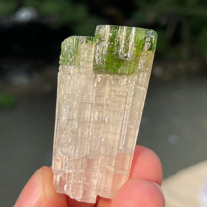 Natural Skardu Tourmaline Cluster Specimen – Bicolor Lime Green & Yellow Gem Crystals