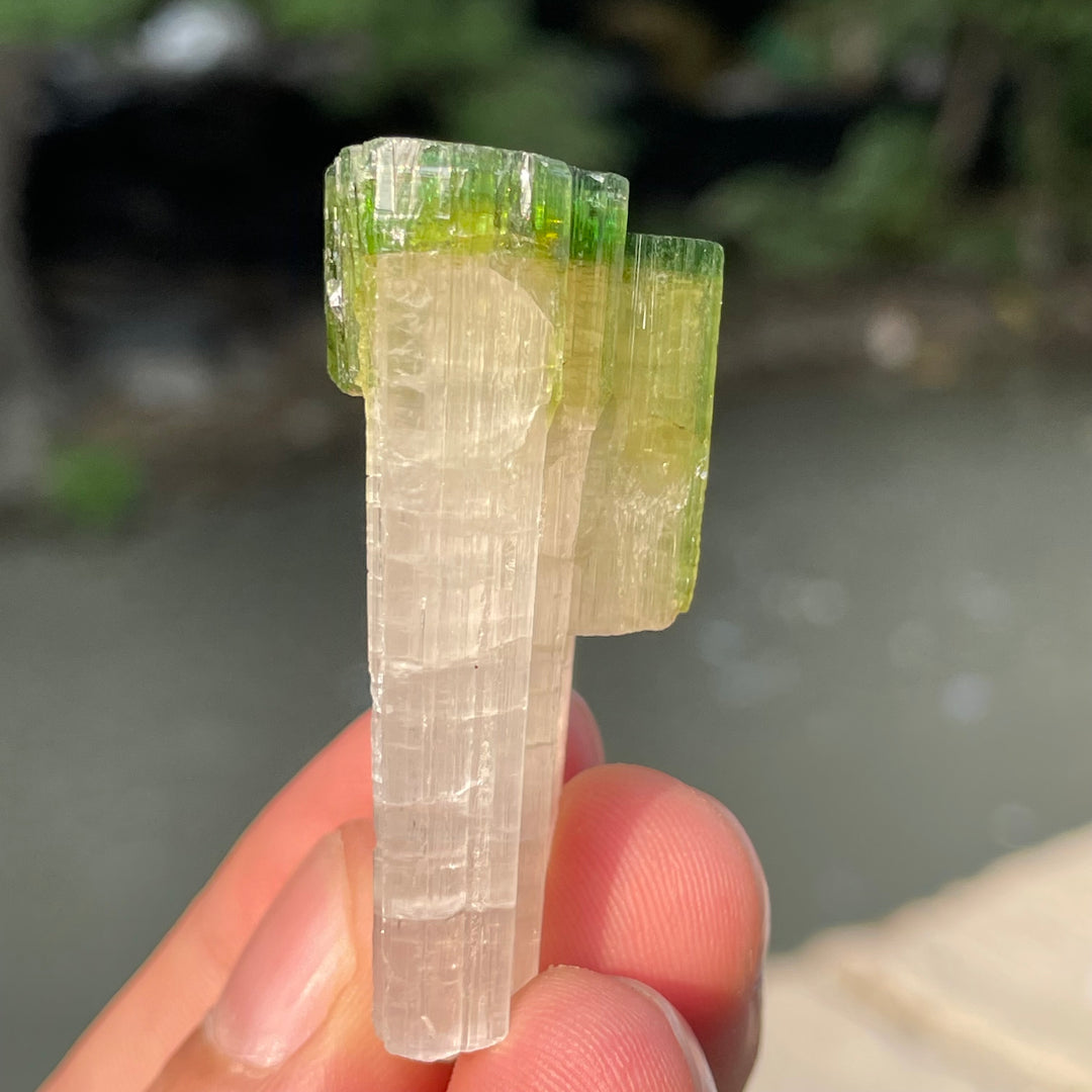 Natural Skardu Tourmaline Cluster Specimen – Bicolor Lime Green & Yellow Gem Crystals
