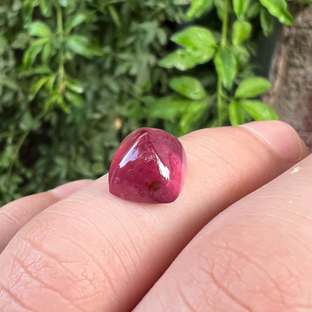 Natural Pink Tourmaline Sugarloaf Cabochon 7.85 Ring Sized Gemstone