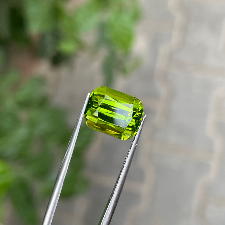 Natural Peridot — Cushion Cut Faceted, Eye-Clean, Pakistan Origin (Ring Setting Gem)