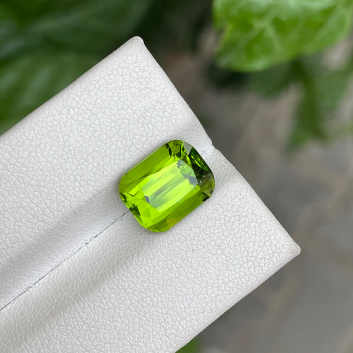 Natural Peridot — Cushion Cut Faceted, Eye-Clean, Pakistan Origin (Ring Setting Gem)