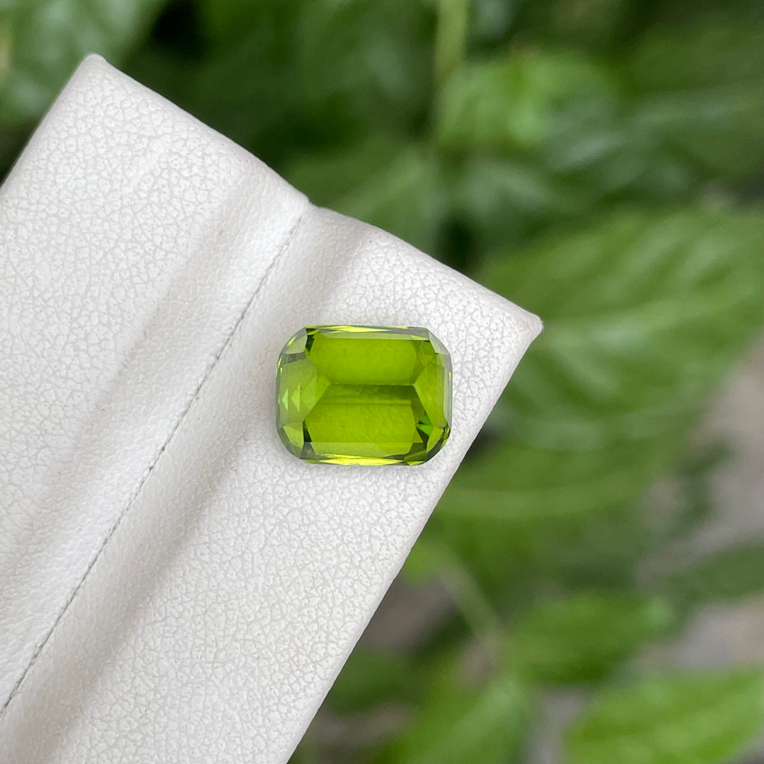 Natural Peridot — Cushion Cut Faceted, Eye-Clean, Pakistan Origin (Ring Setting Gem)