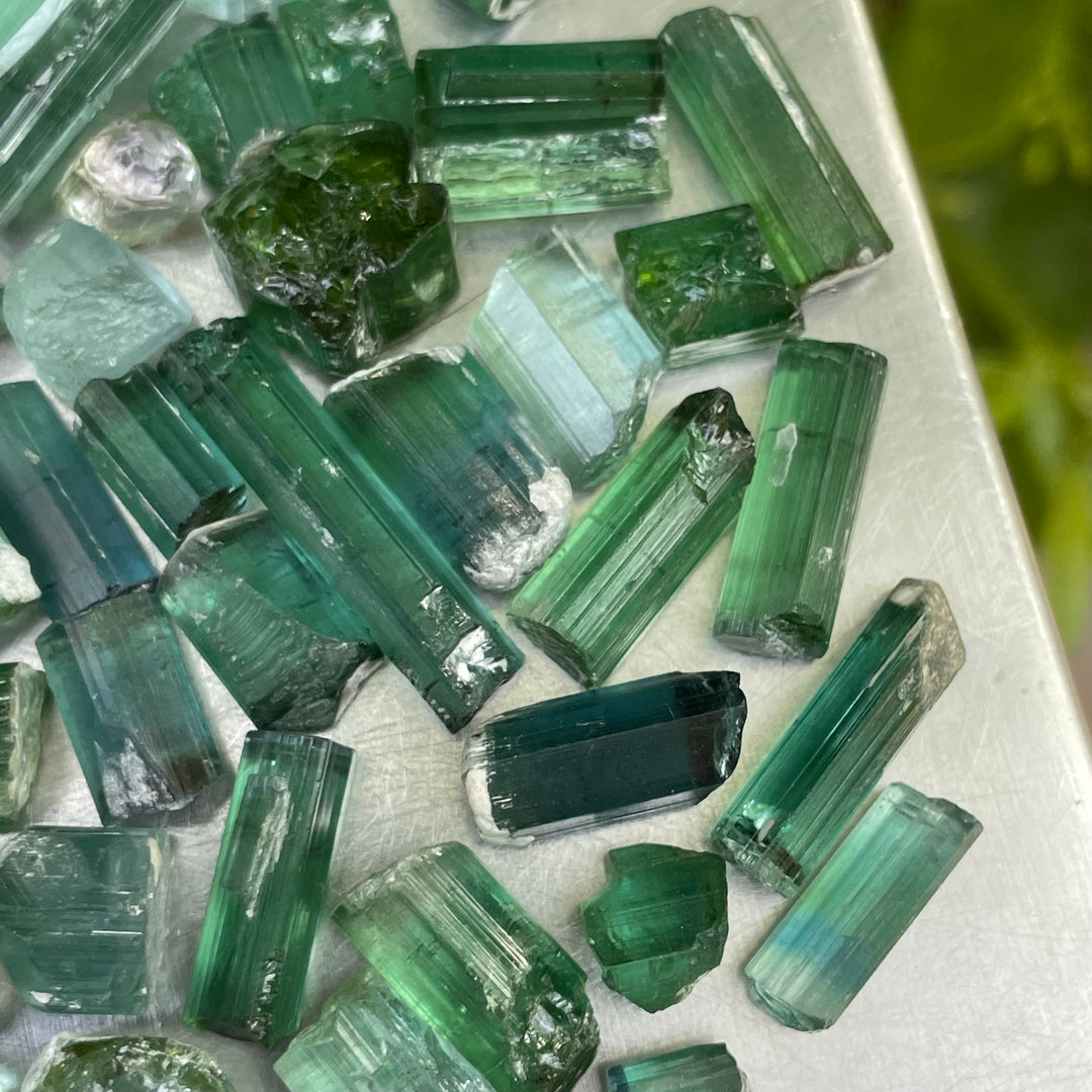 Natural Bluish Green Tourmaline Crystals Lot – 31g Small Sizes from Afghanistan