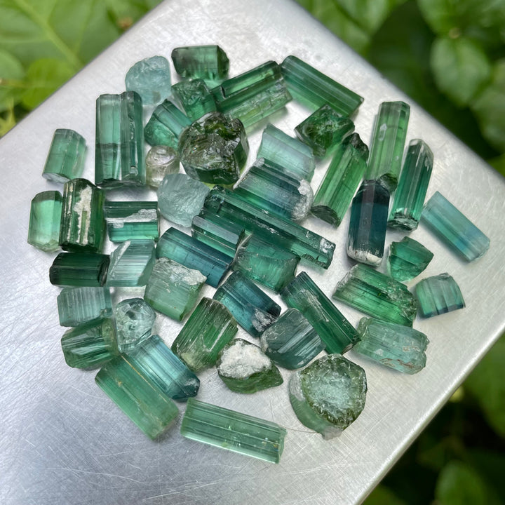 Natural Bluish Green Tourmaline Crystals Lot – 31g Small Sizes from Afghanistan
