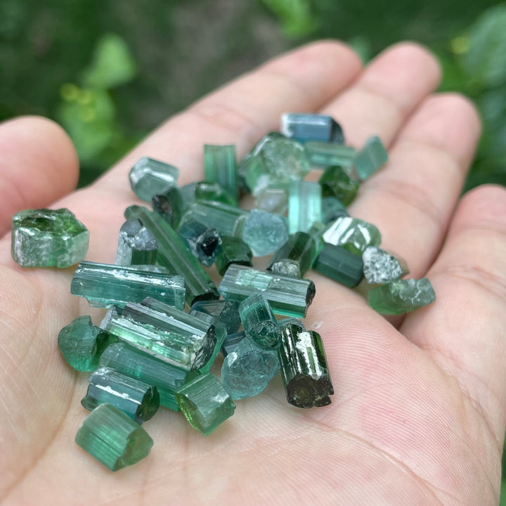 Natural Bluish Green Tourmaline Crystals Lot – 31g Small Sizes from Afghanistan