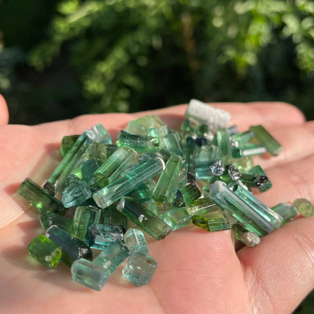 Natural Bluish Green Tourmaline Crystals Lot – 32g Small Sizes from Afghanistan