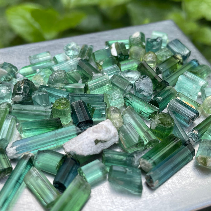 Natural Bluish Green Tourmaline Crystals Lot – 32g Small Sizes from Afghanistan
