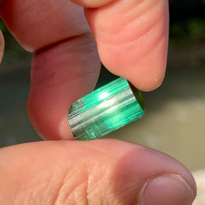 Facet Rough Bluish Green Tourmaline Crystals | Loupe Clean Gem Cutting Grade | Natural Afghanistan