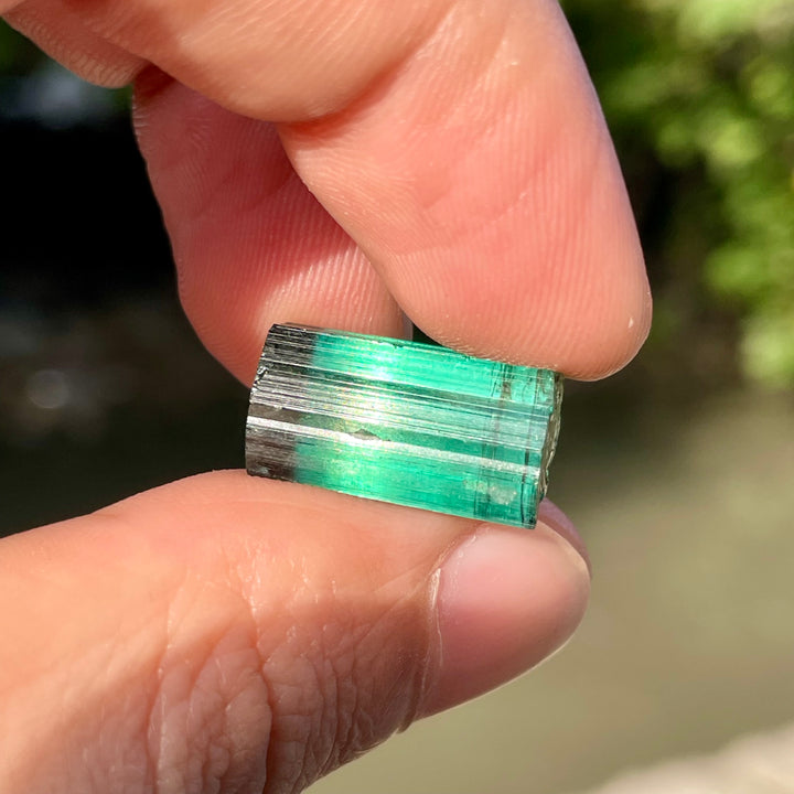 Facet Rough Bluish Green Tourmaline Crystals | Loupe Clean Gem Cutting Grade | Natural Afghanistan
