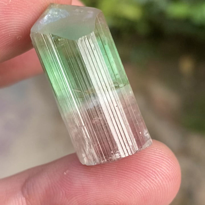 Natural Watermelon Tourmaline Crystal 10.42g – Terminated, Afghanistan