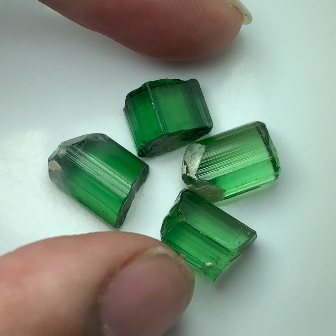 4.86 Grams Facet Rough Loupe Clean Tourmalines