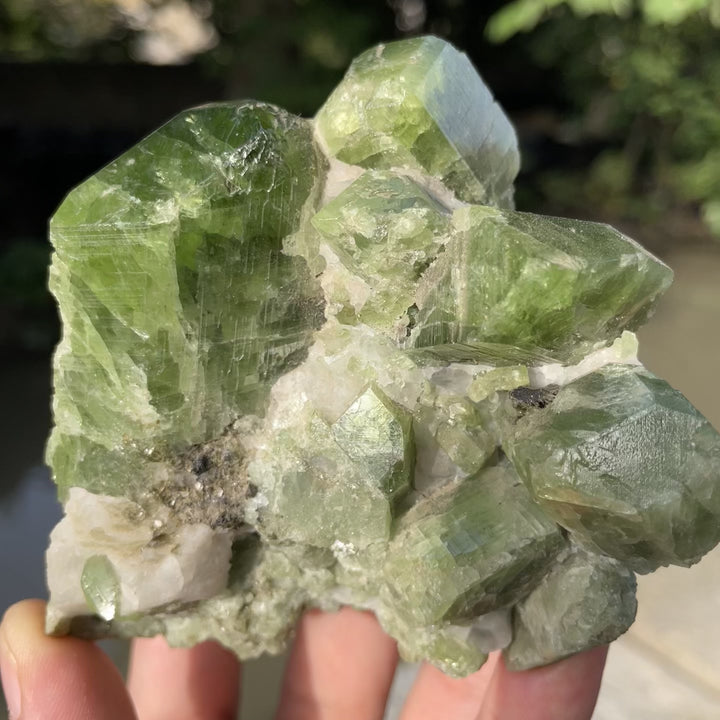 Natural Chrome Diopside Cluster Specimen 554 Grams – Mighty Size, Undamaged Free-Standing Collector Piece
