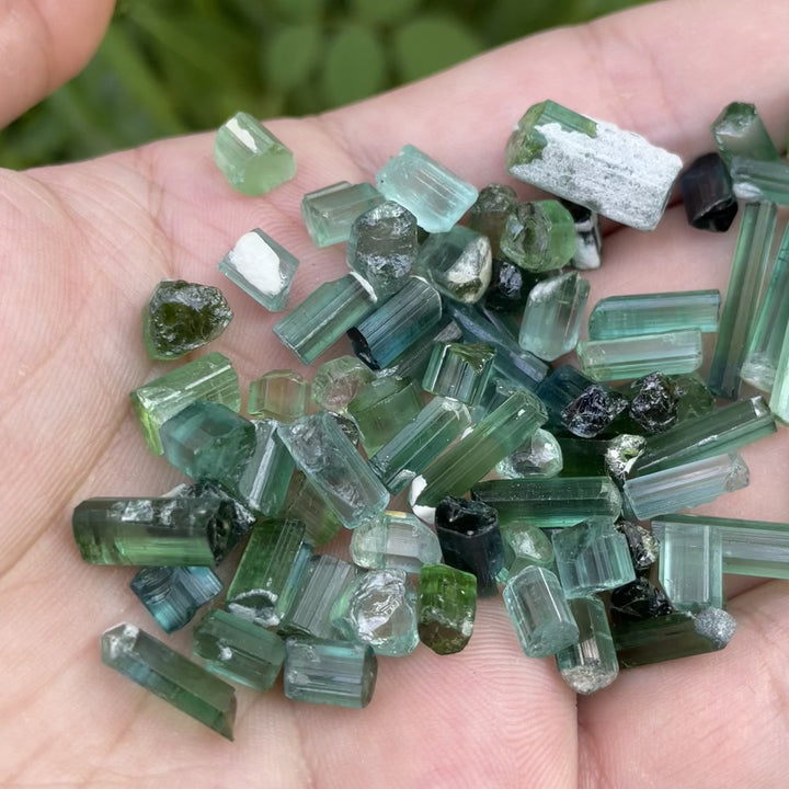Natural Bluish Green Tourmaline Crystals Lot – 32g Small Sizes from Afghanistan