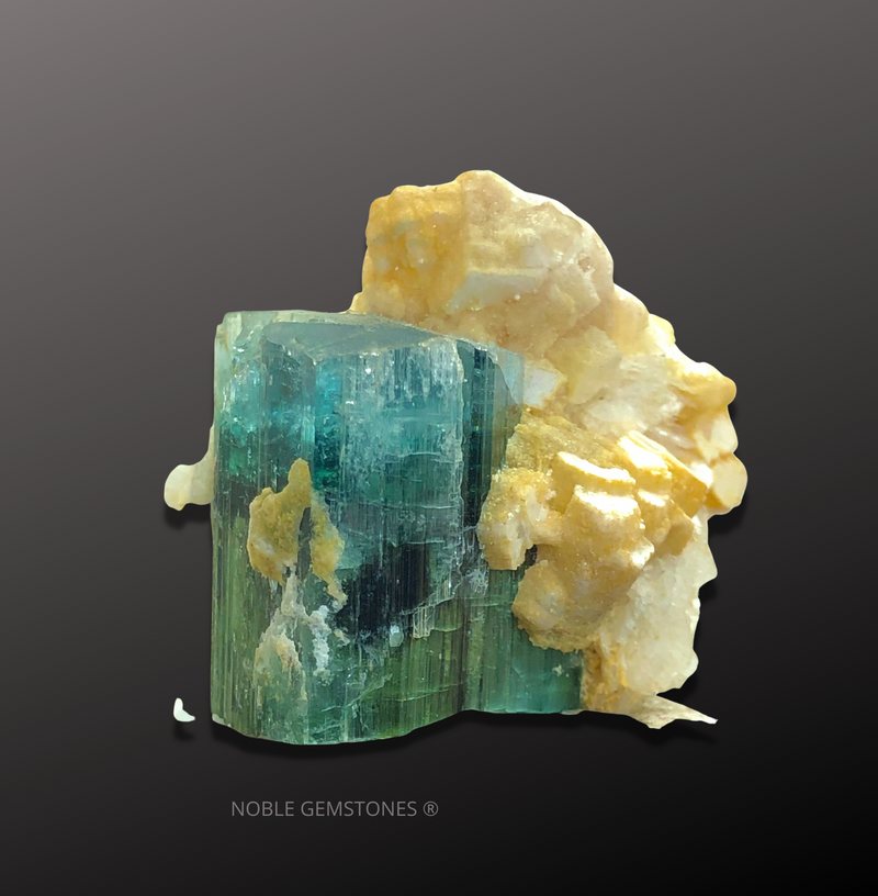 30.88 Grams Tourmaline Specimen - Noble Gemstones®