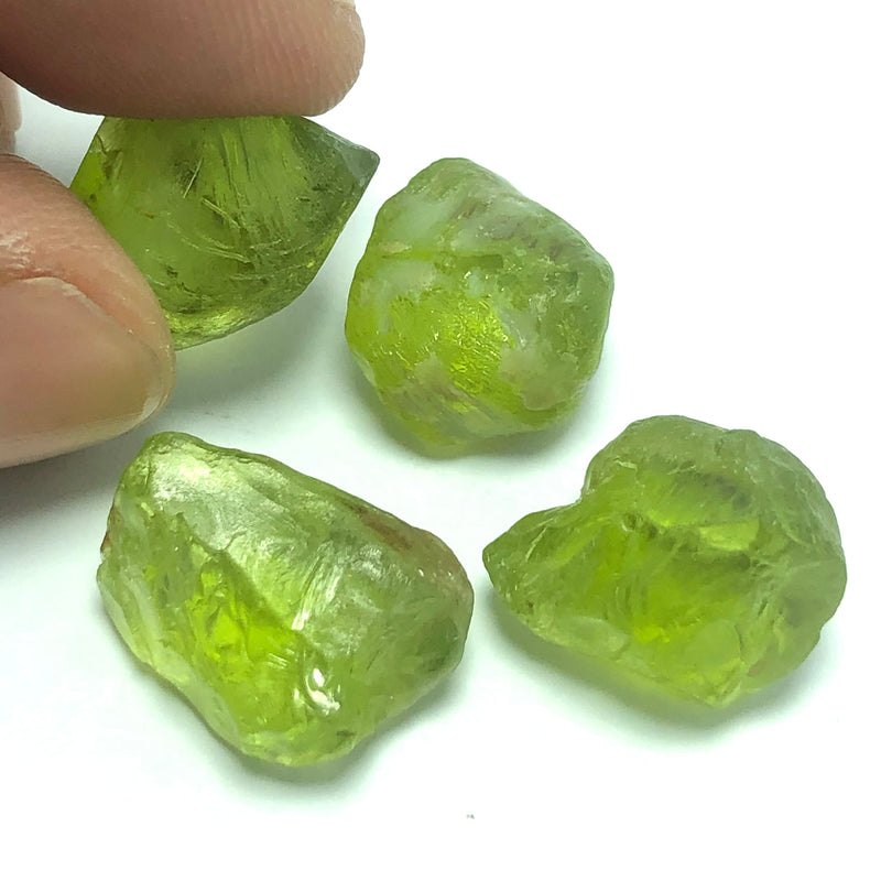 8.63 Grams Facet Rough Apple Greenish Peridots - Noble Gemstones®